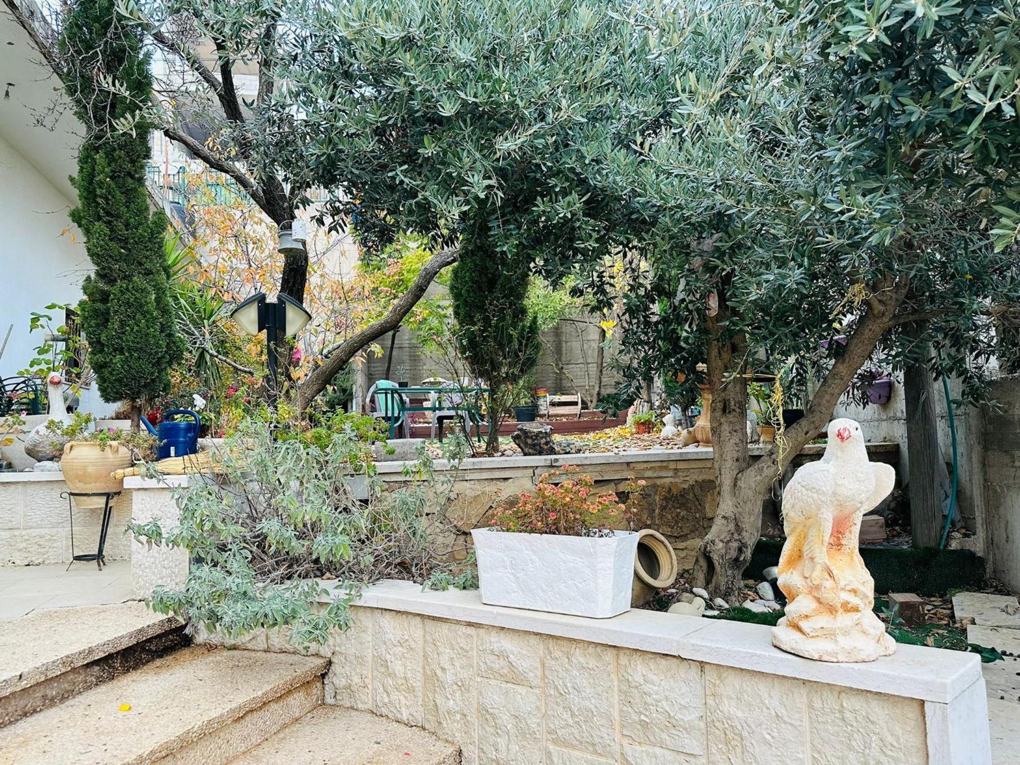 Hermon Accommodation Majdal Shams Cameră foto
